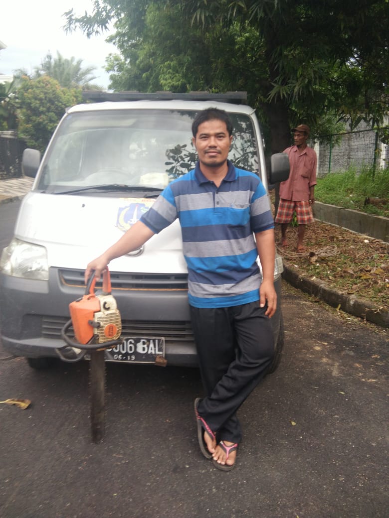 Jasa Tebang Pohon Jakarta, Bogor, Depok, Tangerang, & Bekasi-1 Jasa Tebang Pohon Jakarta, Bogor, Depok, Tangerang, & Bekasi-1